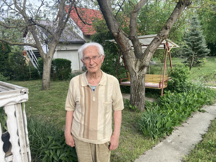 Obádovics Gyula professzor