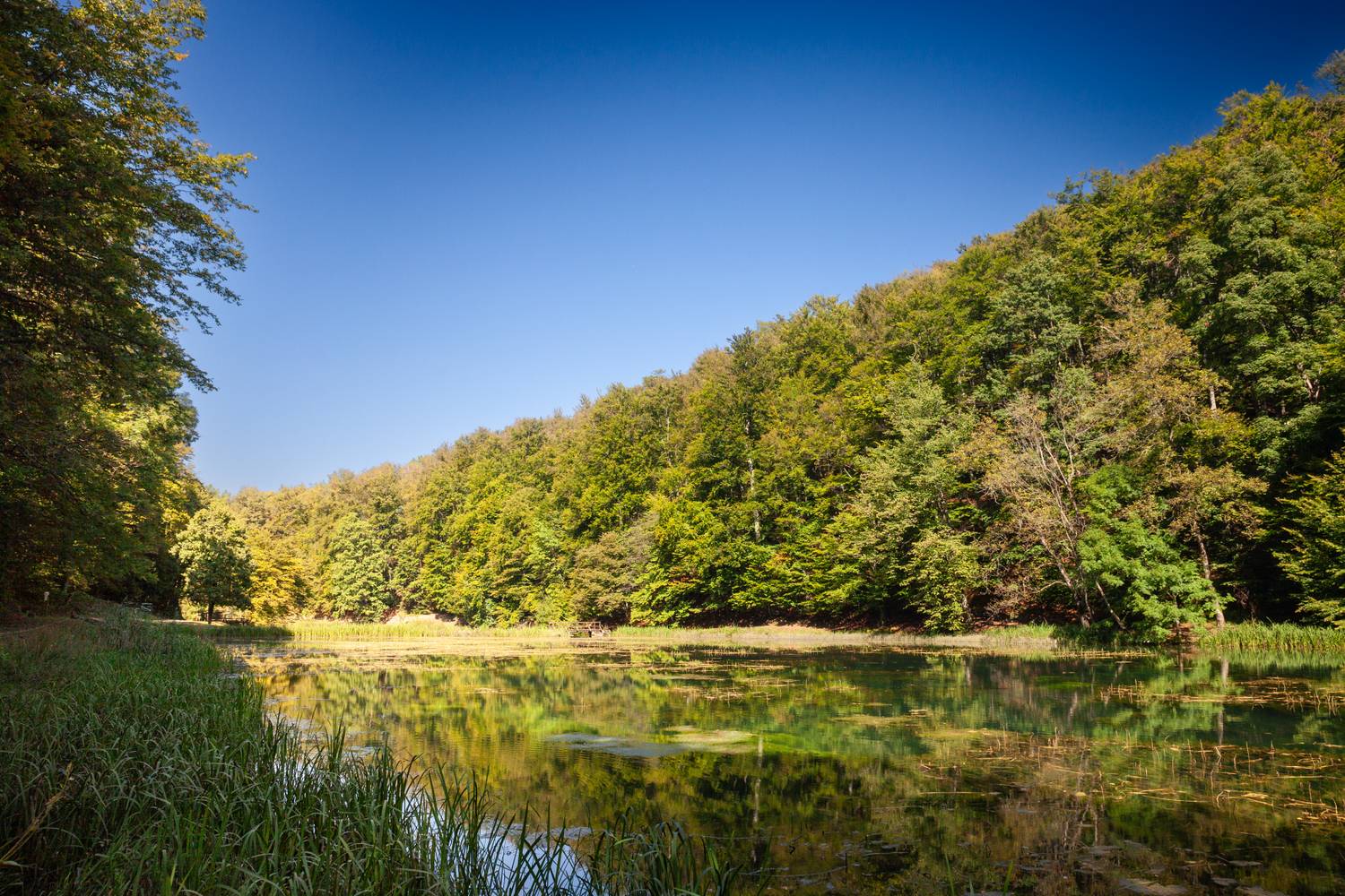 Papuk Natúrpark, Szlavónia