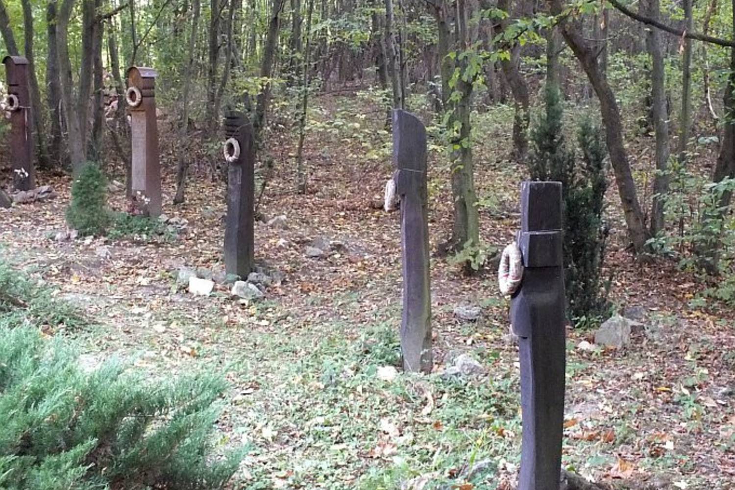 A kegyeleti erdő.
