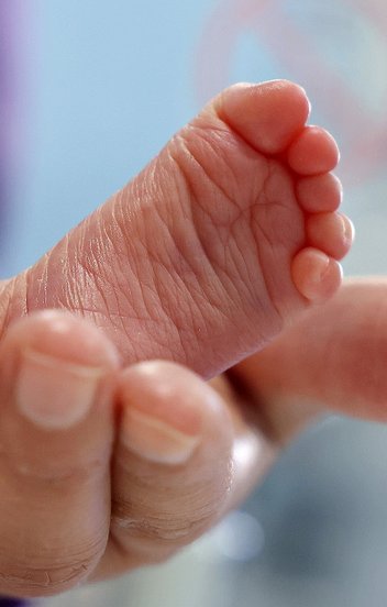 Drámai lejtmenet: Magyarország egyedül maradt a V4-ek között