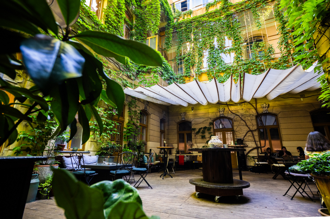 LB 20240515 GardenCafé 0012