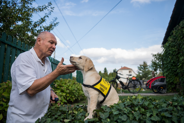 Atom nagyon okos és hamar megtanulta, hogy a külső ingerek ne befolyásolják, így könnyű volt vele dolgozni