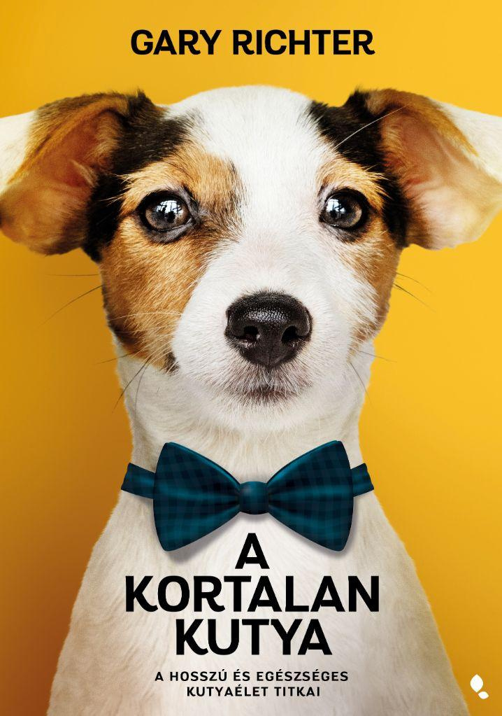 Megfontolandó tanácsok, hogy sokáig velünk maradjon kedvencünk