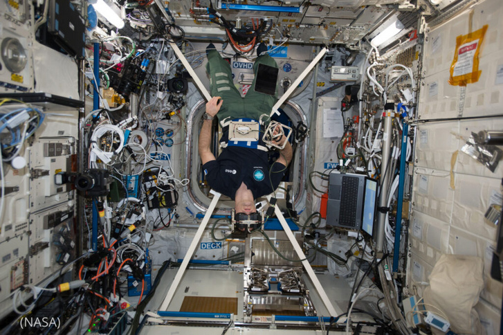 iss051e049152 International Space Station ISS science experiment