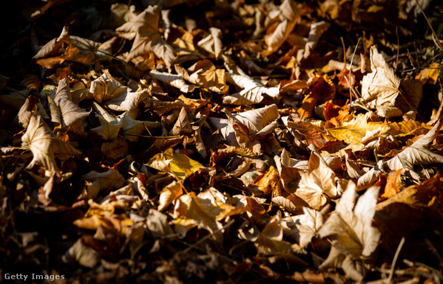 A szabály szerint magánszemélyekre akár 300 ezer forintos bírság is kiszabható