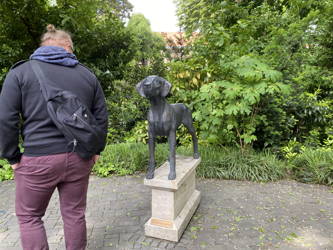IMG 2123