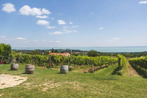 Tucatnyi nyárindító program vár a Balatonnál