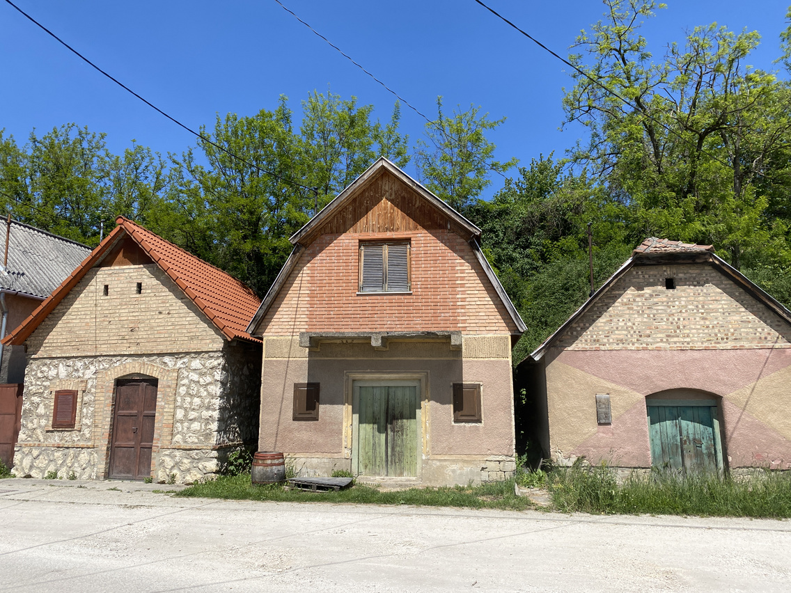 IMG 2019