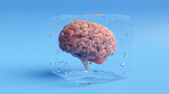 Ő az első lefagyasztott ember a világon – így őrzik a testét