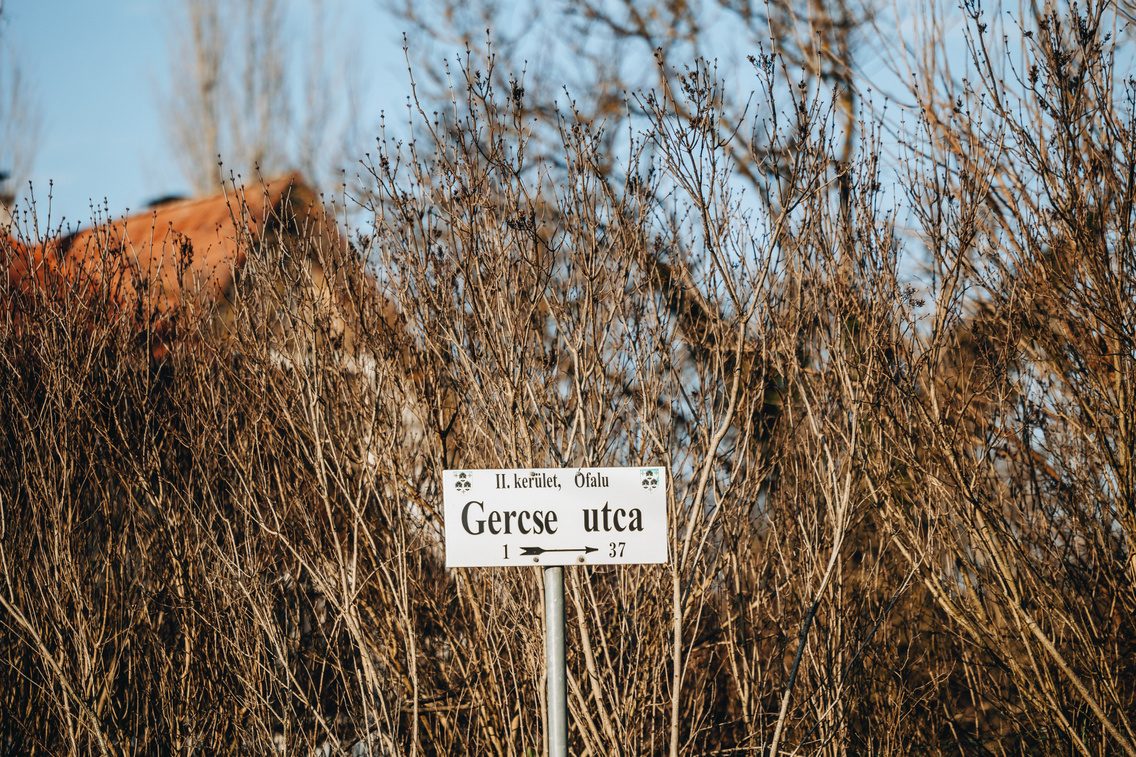 gercse 20240114 majorkata-59