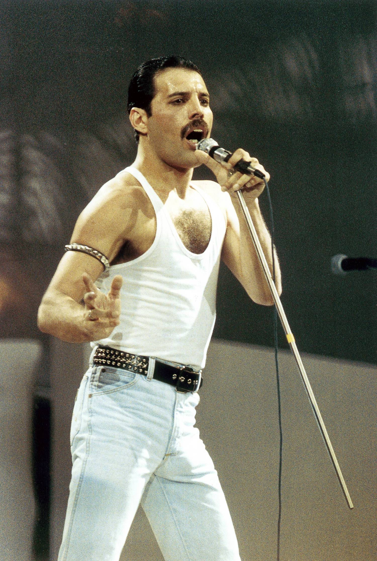 Peter Hince rengeteget köszönhet Freddie Mercurynak.
