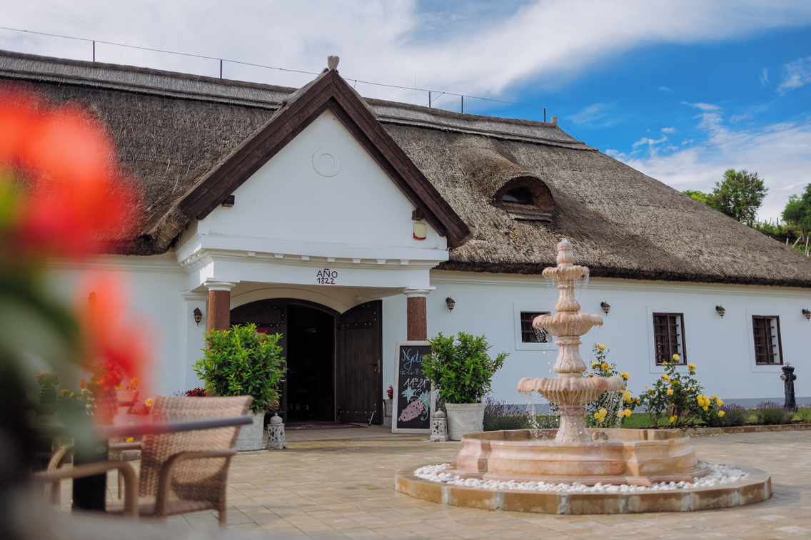 Varázslatos környezet