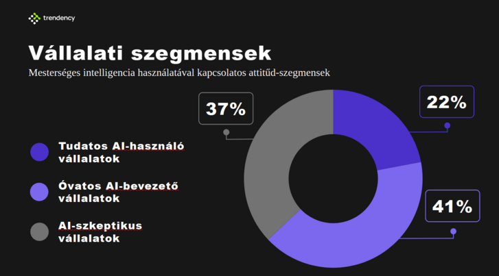 A kialakult szegmensek jól türközik az AI használatának fejlődési szakaszait is