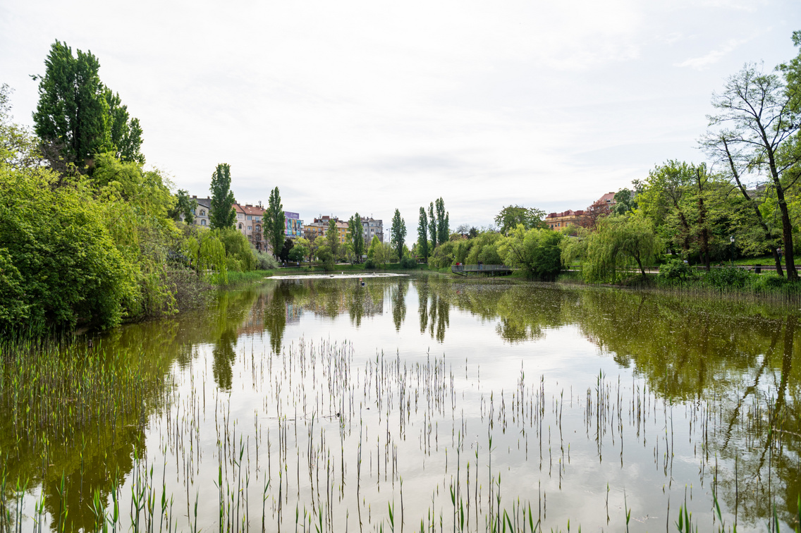 tavasz feneketlen-tó 081 Medgyesi Milán 20240406