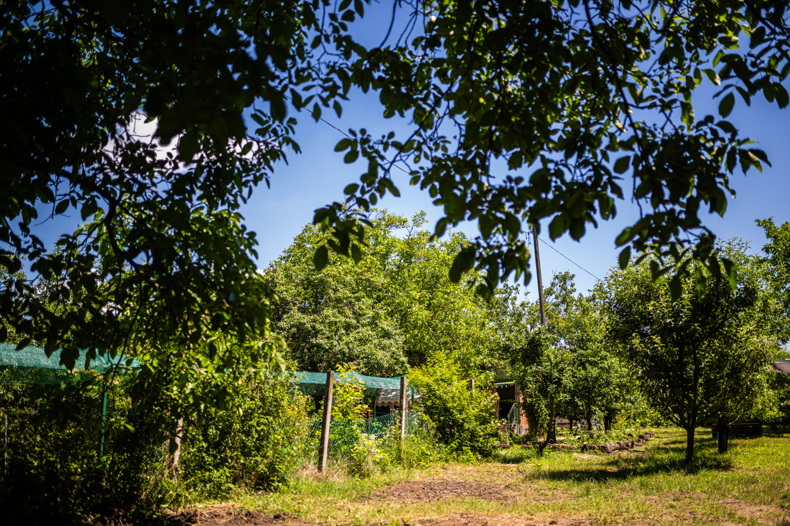 LB 20240607 farm 0042