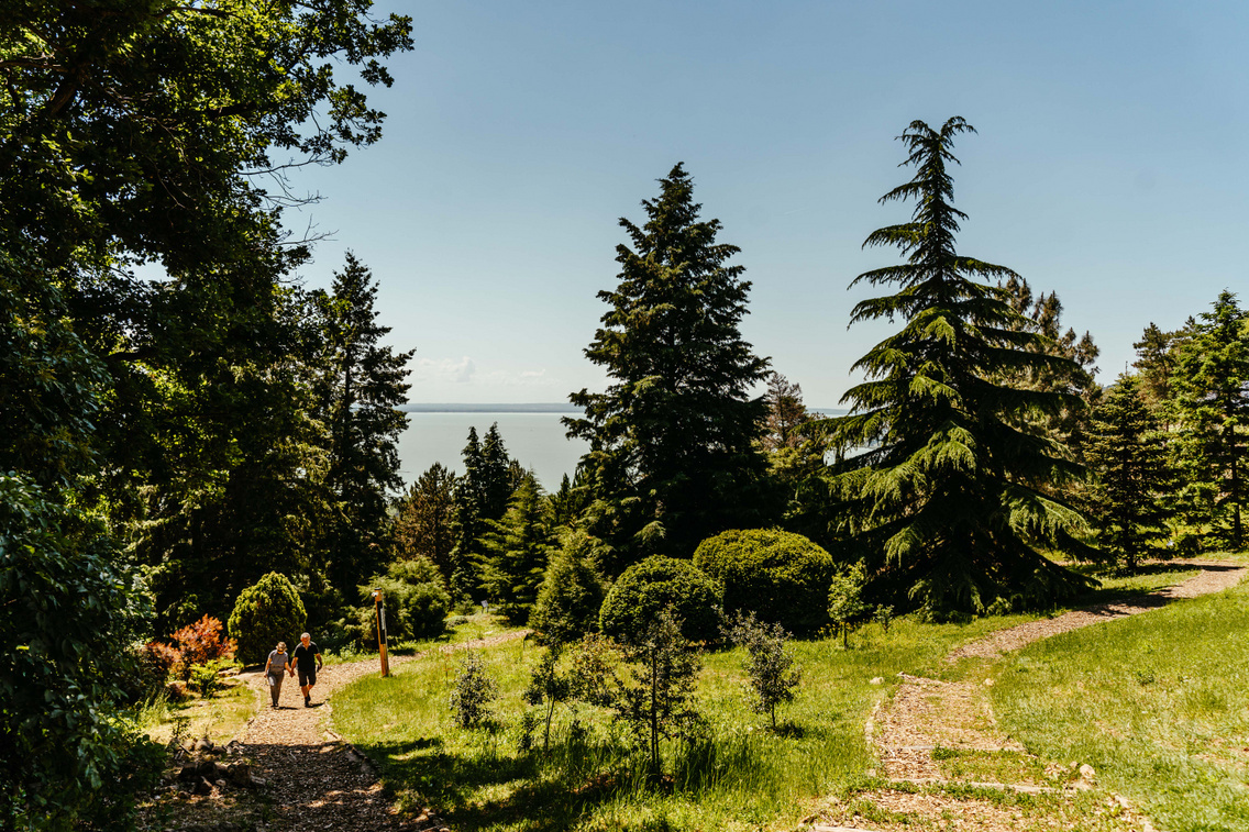 folly arborétum kőrösi tamás