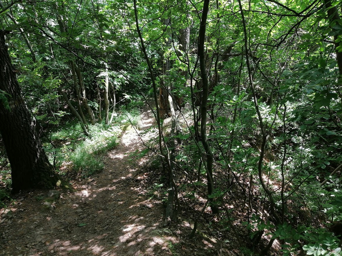 IMG 20250601 134810