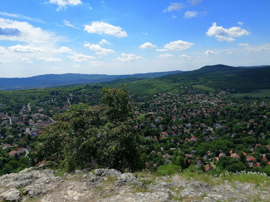 IMG 20250601 140947