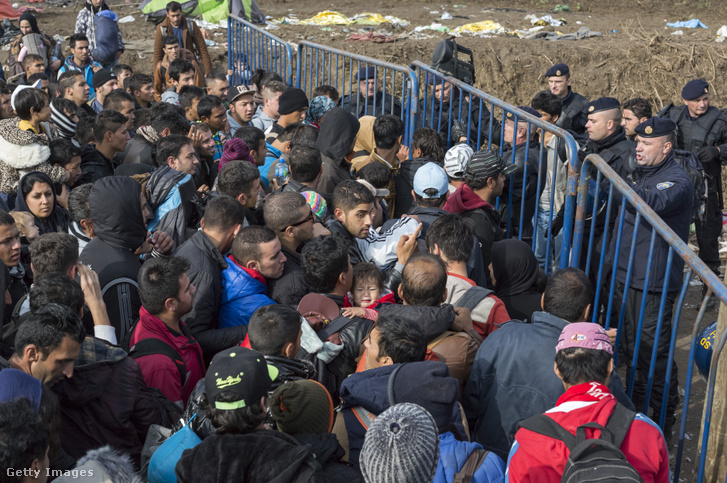 Migránsok tolakodnak, hogy átlépjék a szerb-horvát határt a szerbiai Berkasovo település közelében 2015. október 21-én