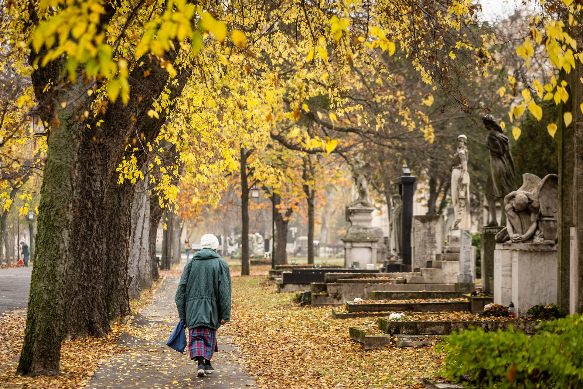 oszigaleria2022-majorkata-71