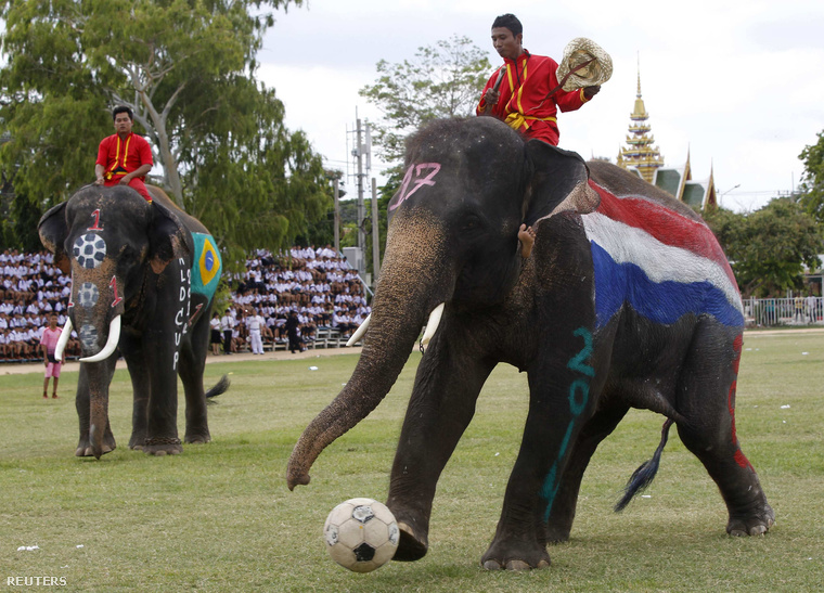 2014-06-09T060159Z 527542049 GM1EA69124C01 RTRMADP 3 THAILAND