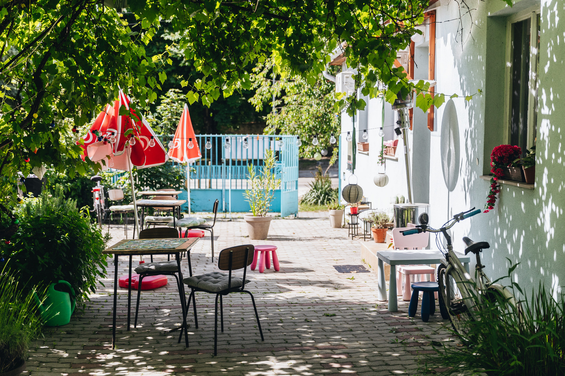 tandem nagykovacsi 250605 majorkata 4