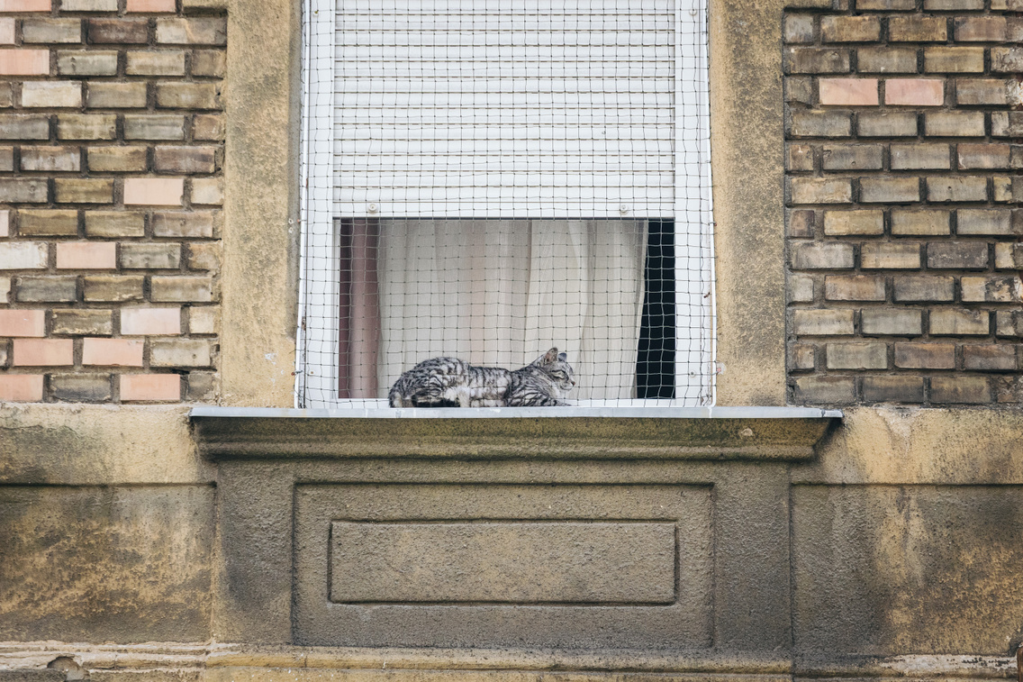 josika utca 2 250605 majorkata 45