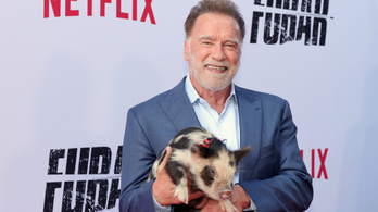Hogyan lett Arnold Schwarzenegger milliárdos?