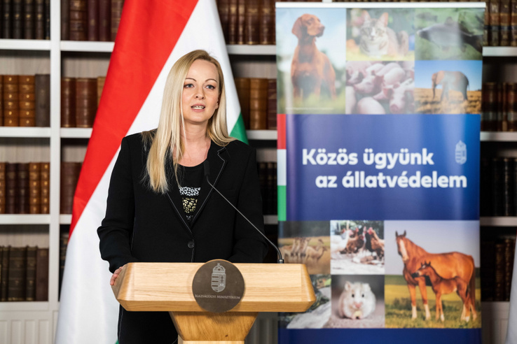 Az új törvény üzenete: az állatkínzás és a felelőtlen állattartás nem bocsánatos bűn