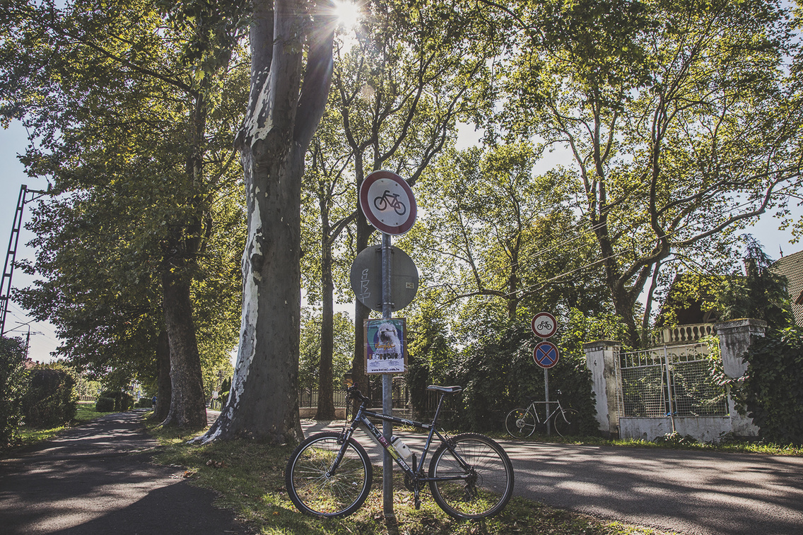deli-part-biciklivel heim-alexandra 20160804 2