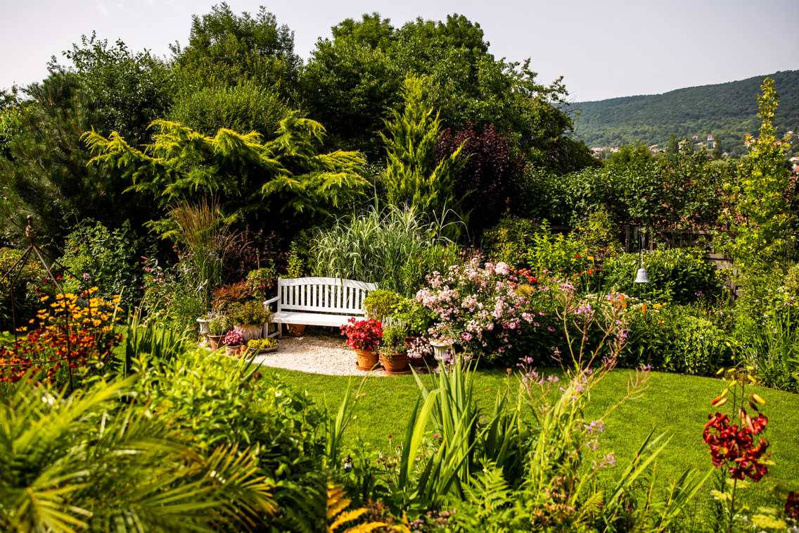 angolkert-20210713-hirling-balint-023