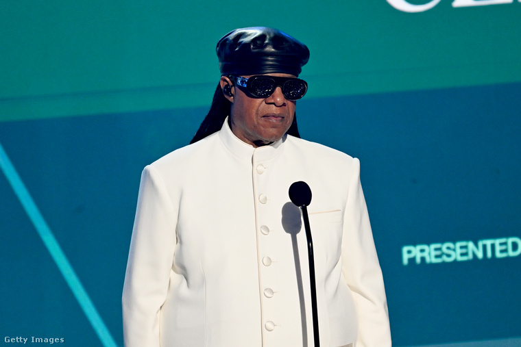 Stevie WonderVannak, akik szerint a zenész nem is vak, csak annak mondja magát