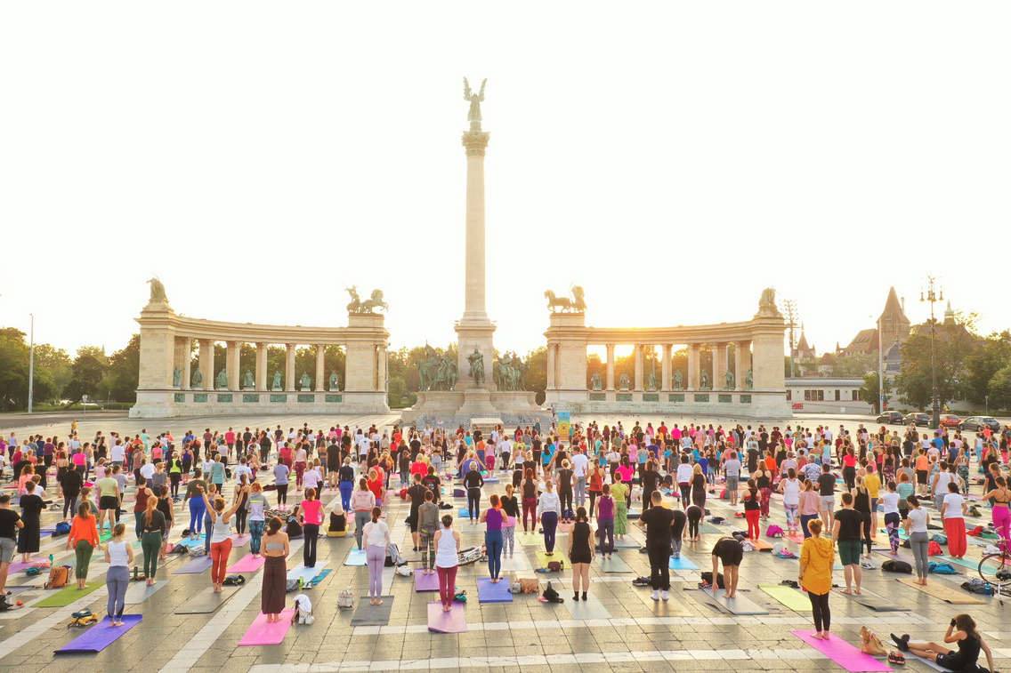 viveka joga