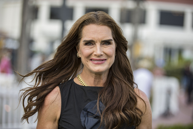 Jelenleg is aktív a médiában, saját dokumentumfilmje is készült (Pretty Baby: Brooke Shields, 2023), amelyben reflektál fiatalkori hírnevére és annak hatásaira