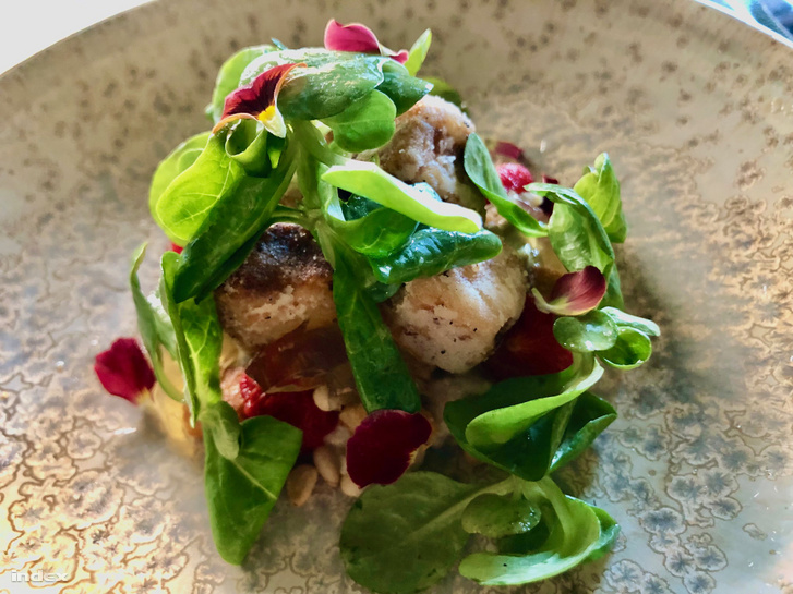 Padlizsán, fenyőmag, galambsaláta