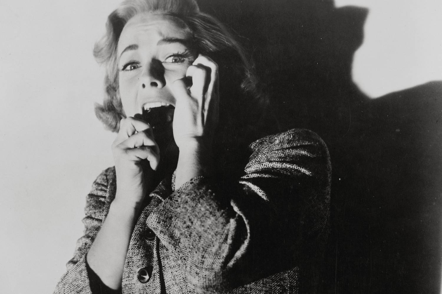 vera miles psycho (2)