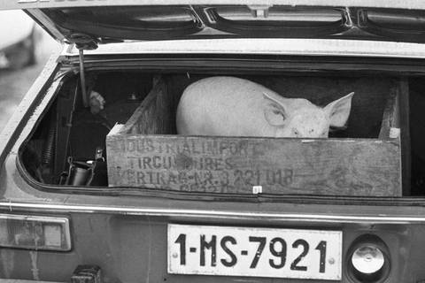 Szolid hétköznapok Ceaușescu Romániájában – A Centrális Galéria fotókiállításán jártunk