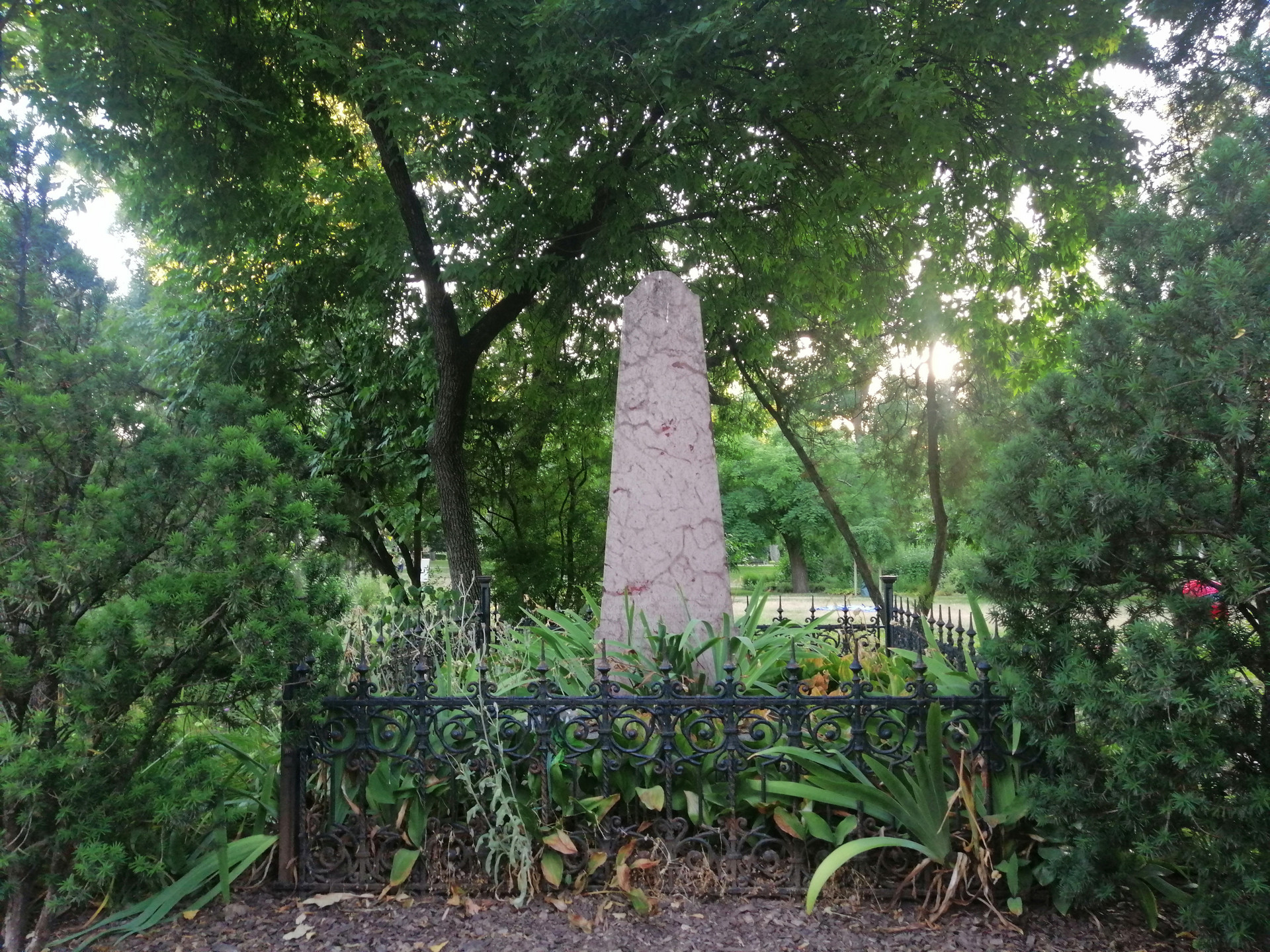 varosligeti sir 1 wlb