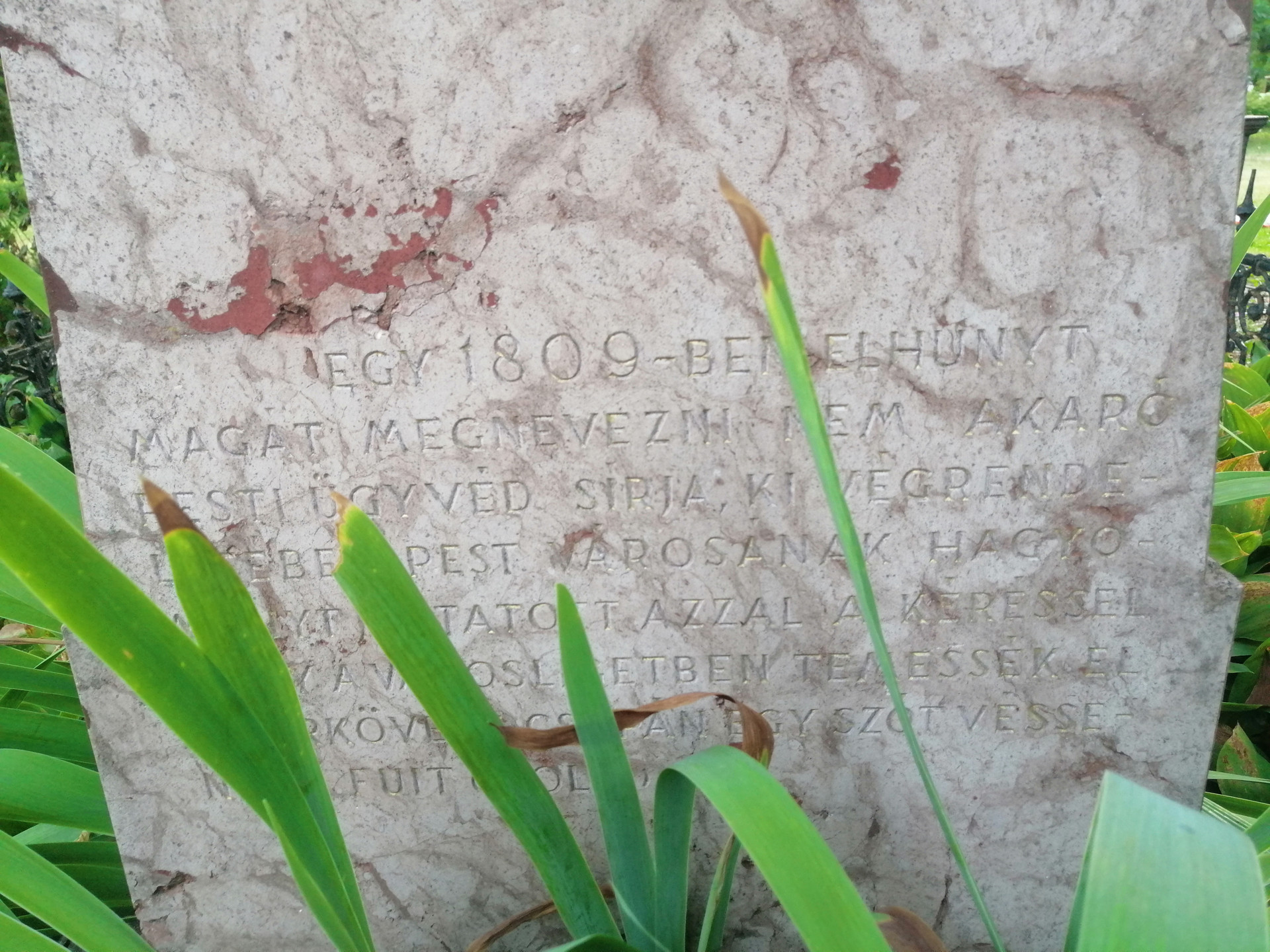 varosligeti sir 2 wlb