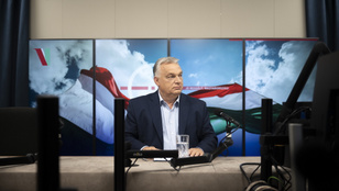 Orbán označil kmet "idomiziran" kot čimpanze, Magyar Péter ga izziva na soočenje