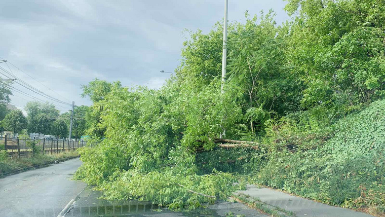 Egy olvasónk épp hazafelé autózott, amikor a viharfelhők sűrűje elnyelte az eget – a képen jól látható, milyen gyorsan jött a vihar, és milyen szörnyű károkat okozott. (Fotó: Csete Rita)