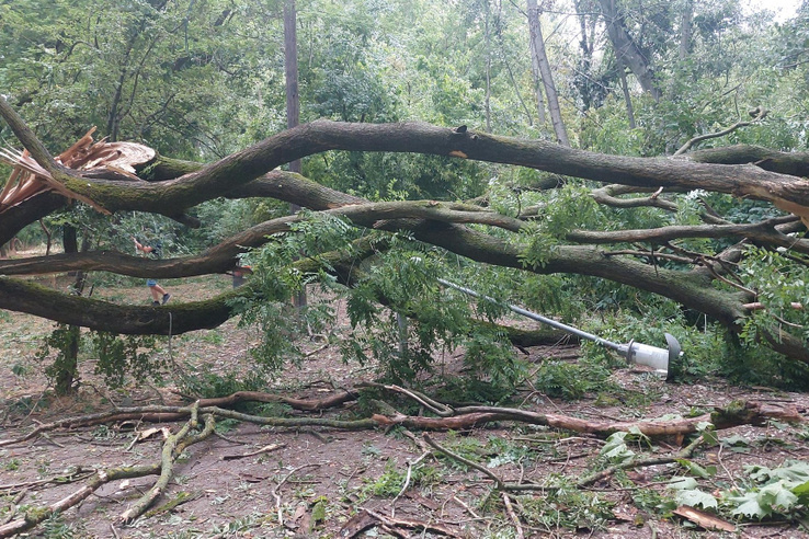 Lezárták a népszerű budapesti szigetet: elképesztő a pusztítás