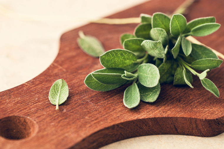 A zsálya segíthet enyhíteni a menstruációs görcsöket, fokozza a vérkeringést, és antioxidáns tartalma is jelentős