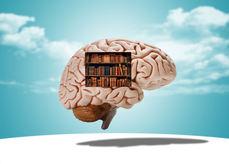 A tudomány régóta kutatja, hogyan működik az emberi elme, és ebben az intelligencia kiemelt szerepet kap