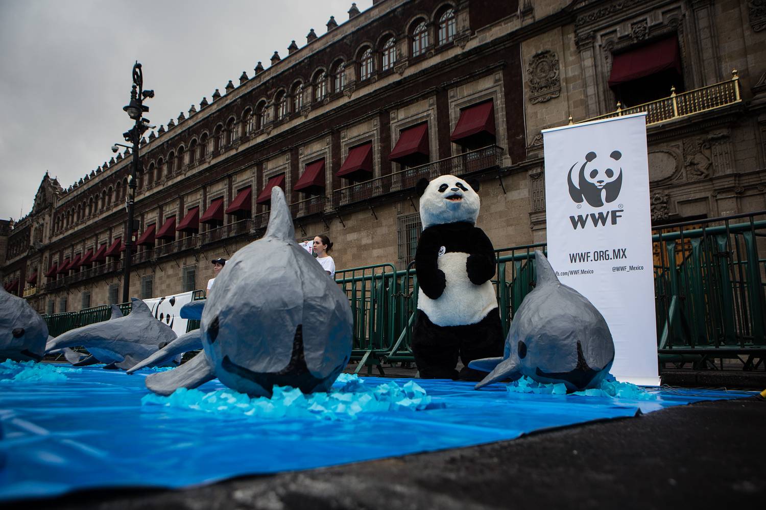 WWF tiltakozás Mexikóban, 2018.