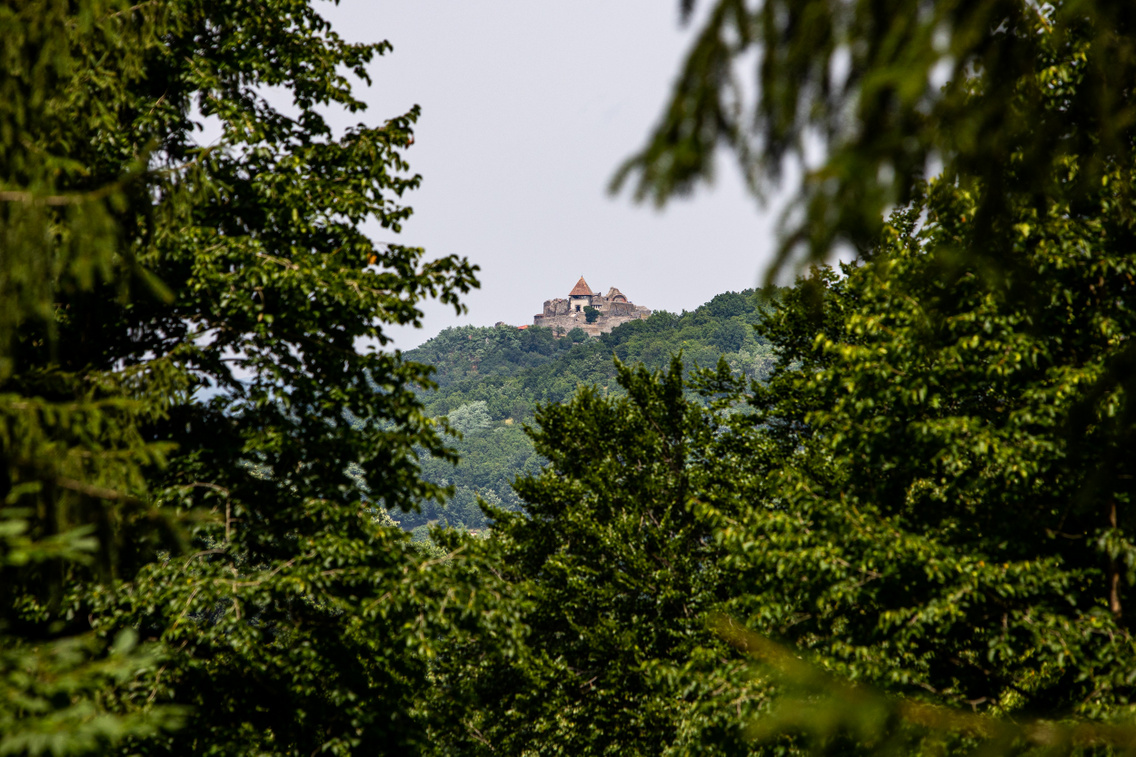 pilis-fuveszkert-20210713-hirling-balint-026