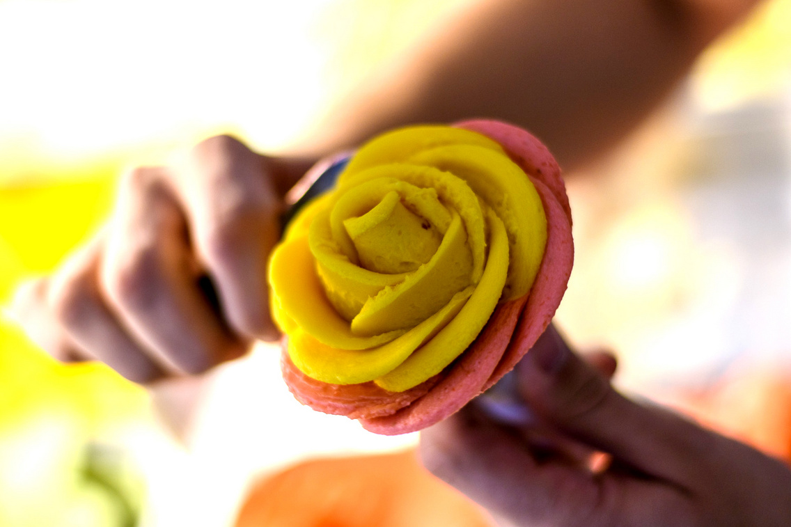 gelarto-pop-up-store korosi-tamas 20170608