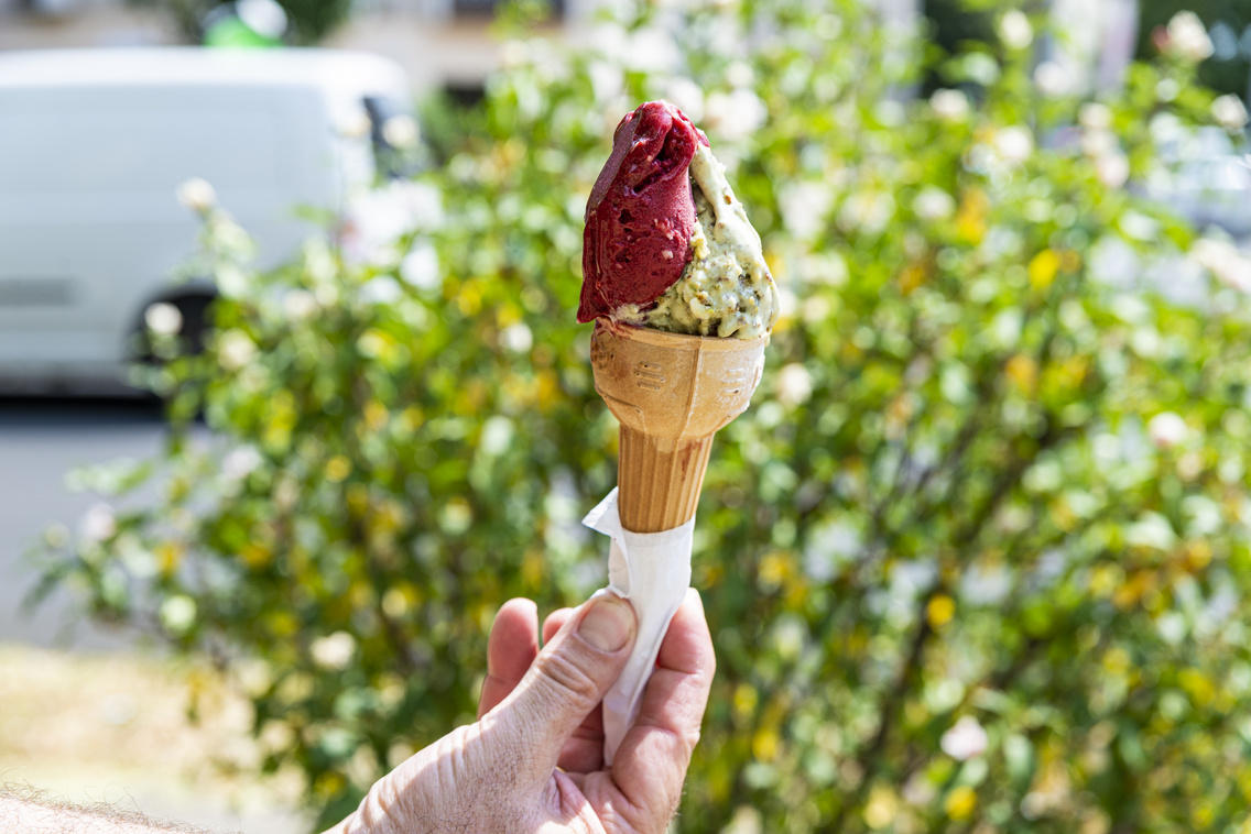 erdos-es-fiai-nagy-fagyikorkep-2022-024-medgyesi-milan-20220726