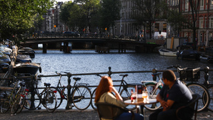 Amszterdami macskáknak építettek létrákat a csatornákba