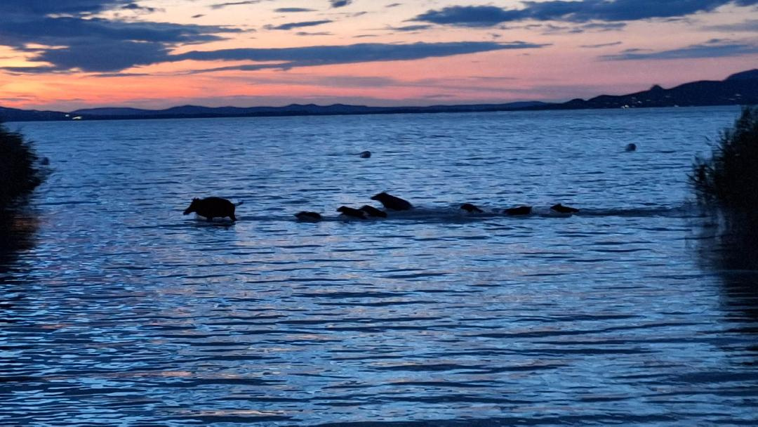 363ac0bc311f111757f234107076c931